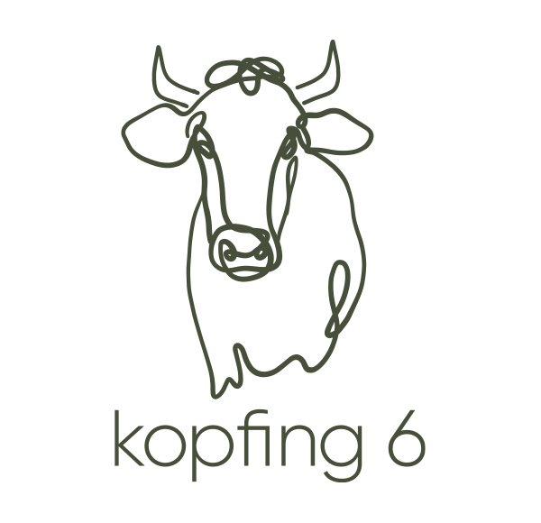 kopfing6